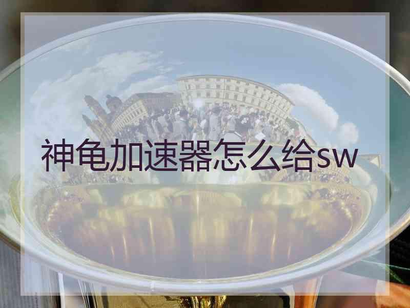 神龟加速器怎么给sw