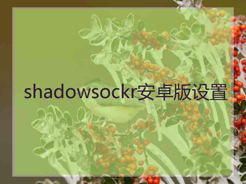 shadowsockr安卓版设置