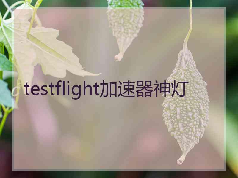 testflight加速器神灯