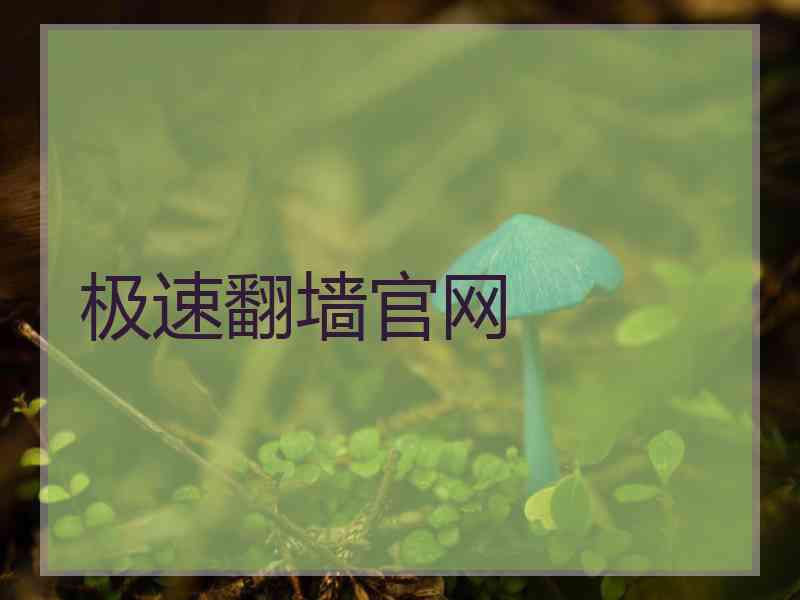 极速翻墙官网