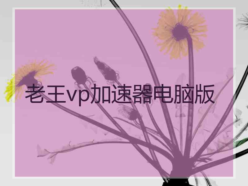 老王vp加速器电脑版