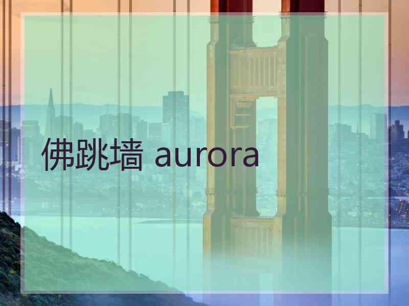 佛跳墙 aurora