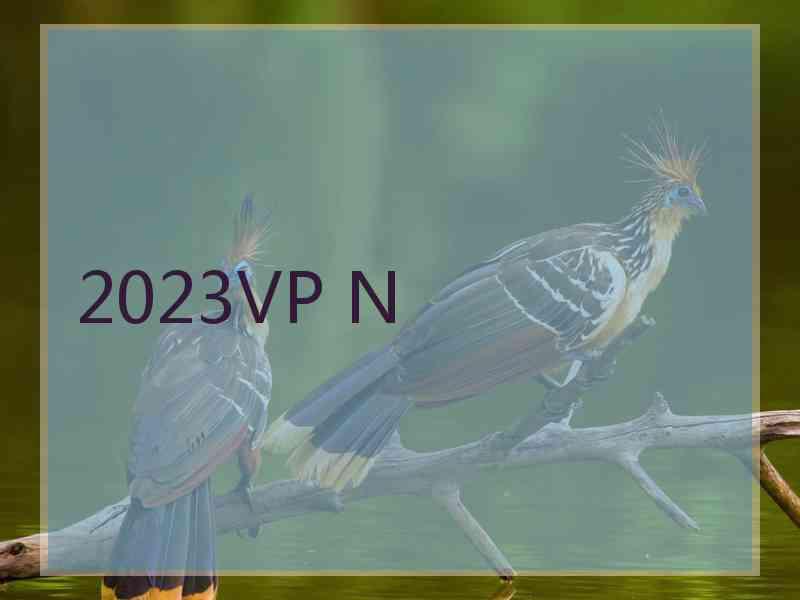 2023VP N