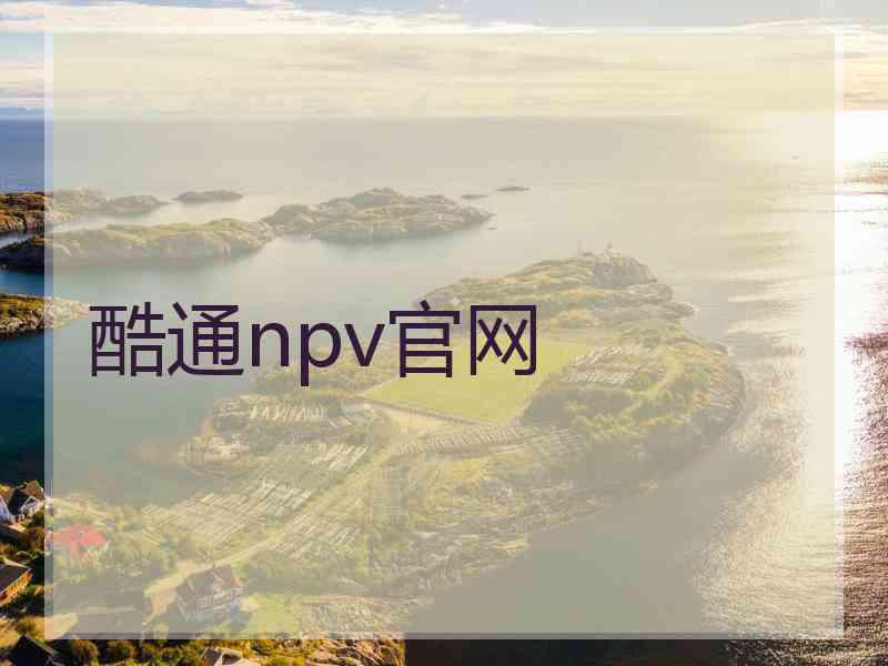 酷通npv官网