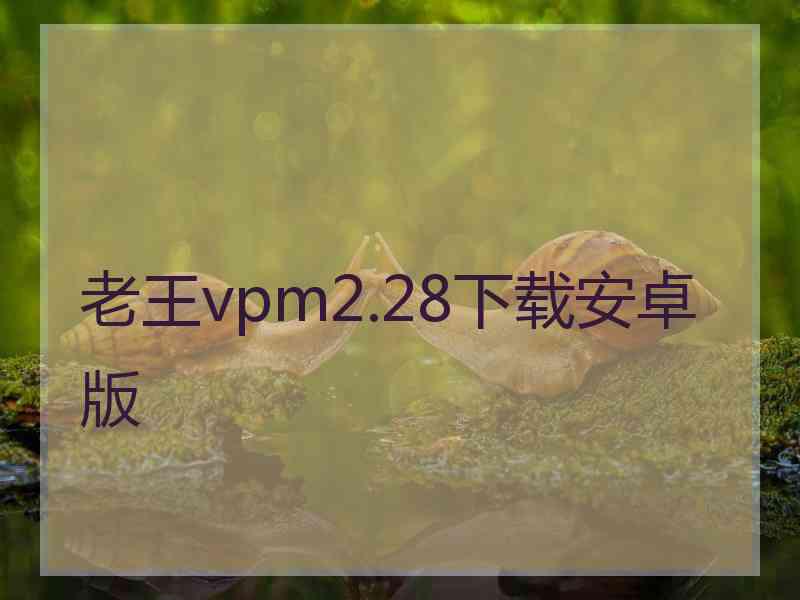 老王vpm2.28下载安卓版