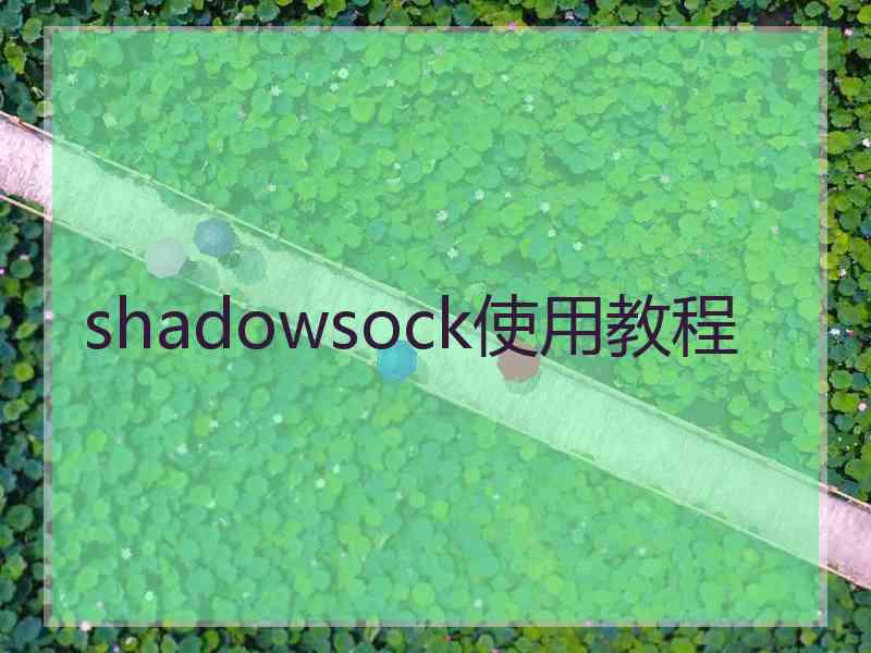 shadowsock使用教程