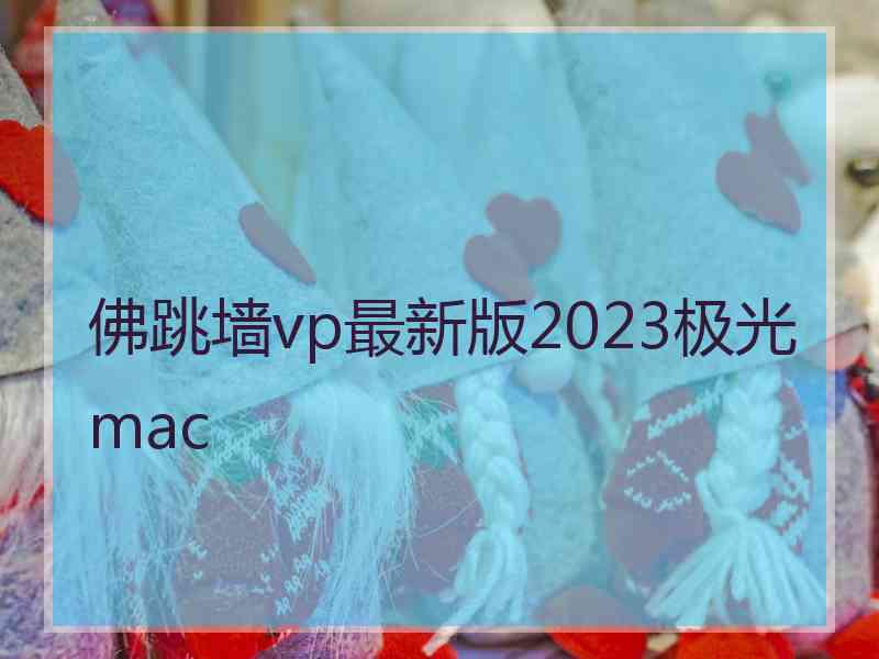 佛跳墙vp最新版2023极光 mac