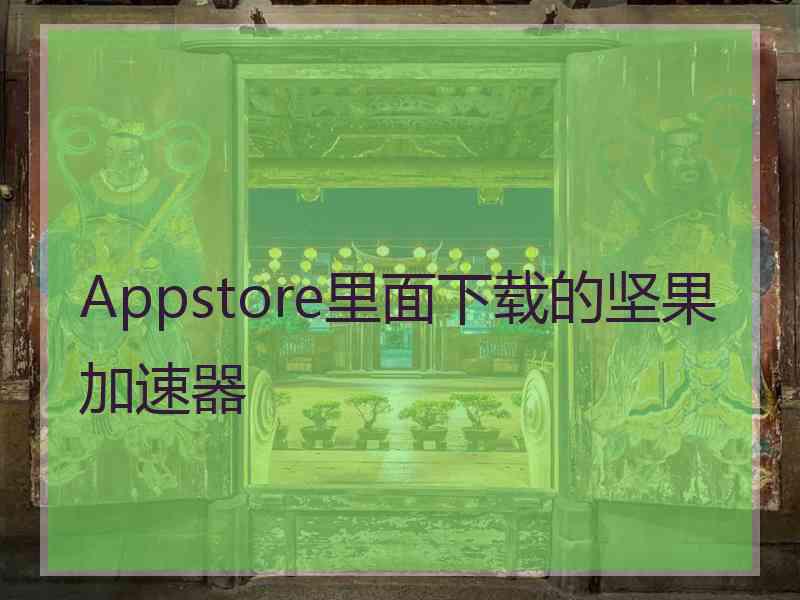 Appstore里面下载的坚果加速器