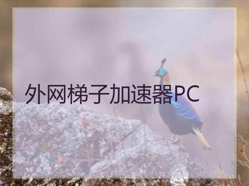 外网梯子加速器PC