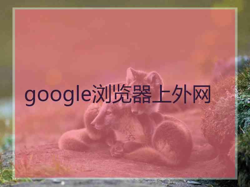 google浏览器上外网