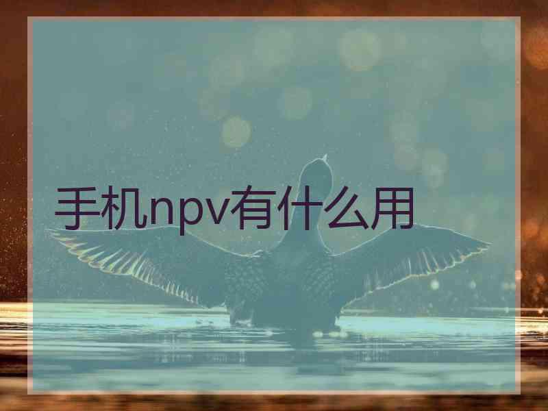 手机npv有什么用