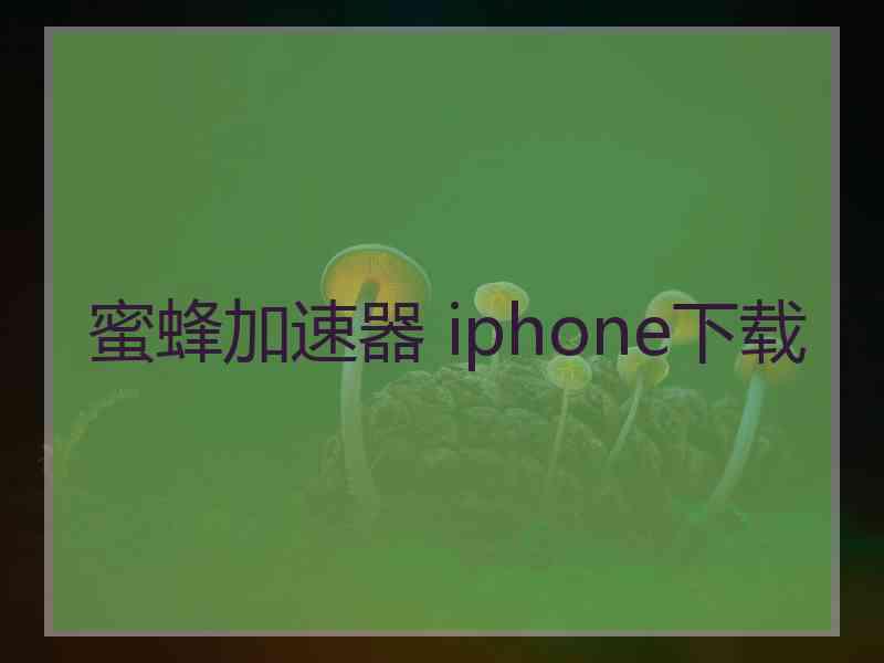 蜜蜂加速器 iphone下载