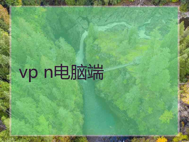 vp n电脑端