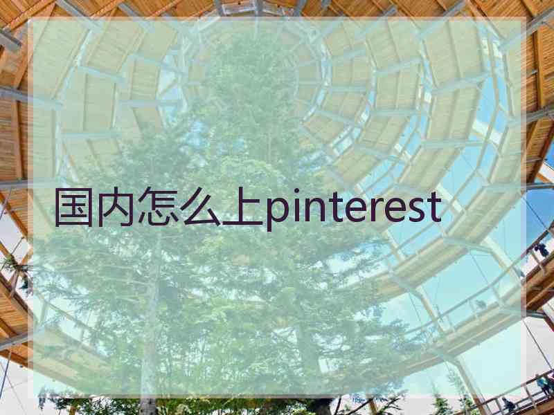 国内怎么上pinterest