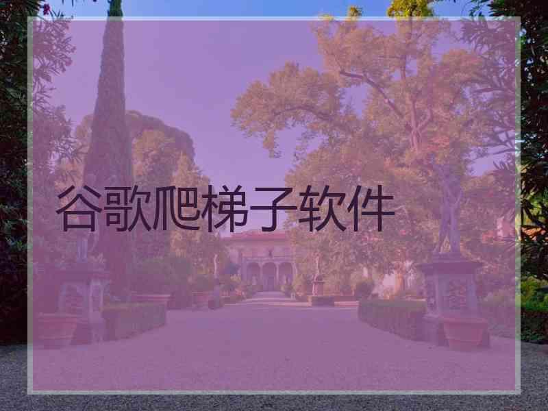 谷歌爬梯子软件