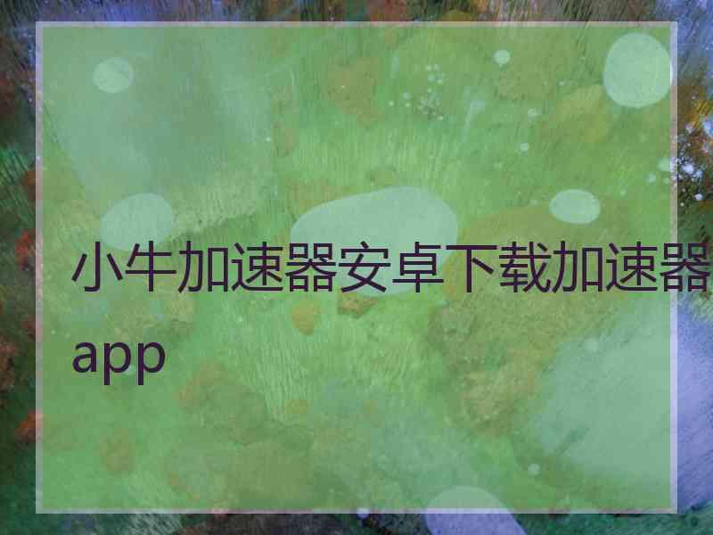 小牛加速器安卓下载加速器app