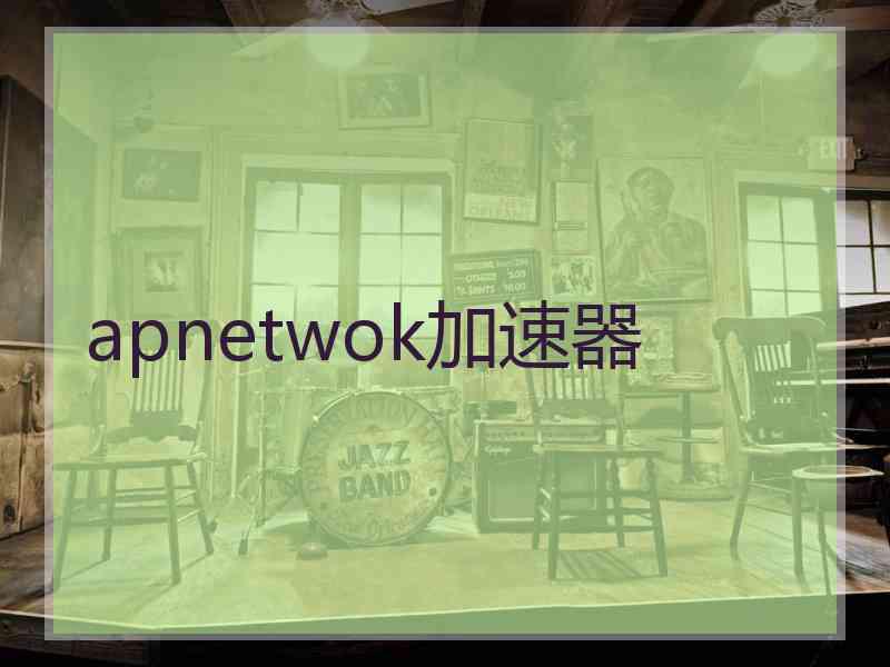 apnetwok加速器