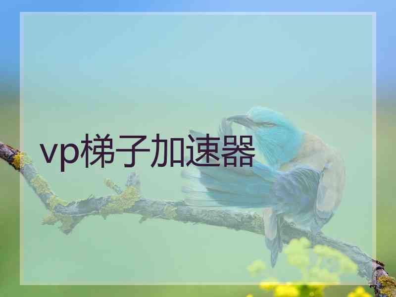 vp梯子加速器