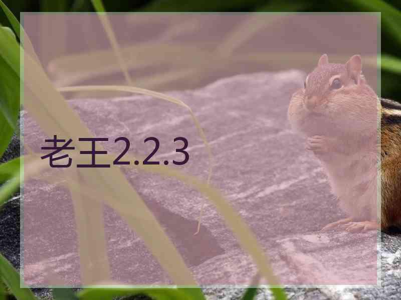 老王2.2.3