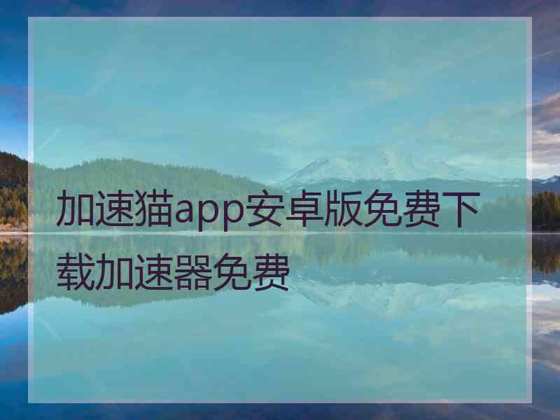 加速猫app安卓版免费下载加速器免费