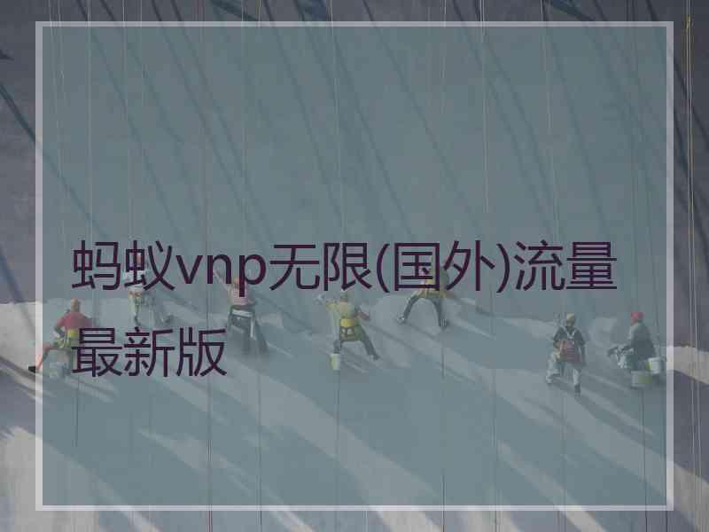 蚂蚁vnp无限(国外)流量最新版