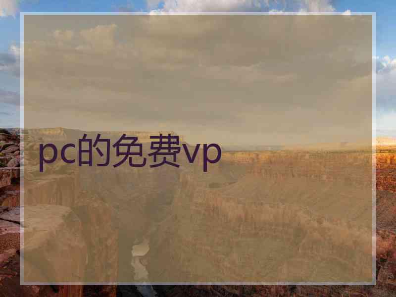 pc的免费vp