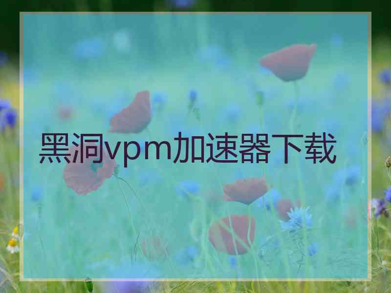 黑洞vpm加速器下载