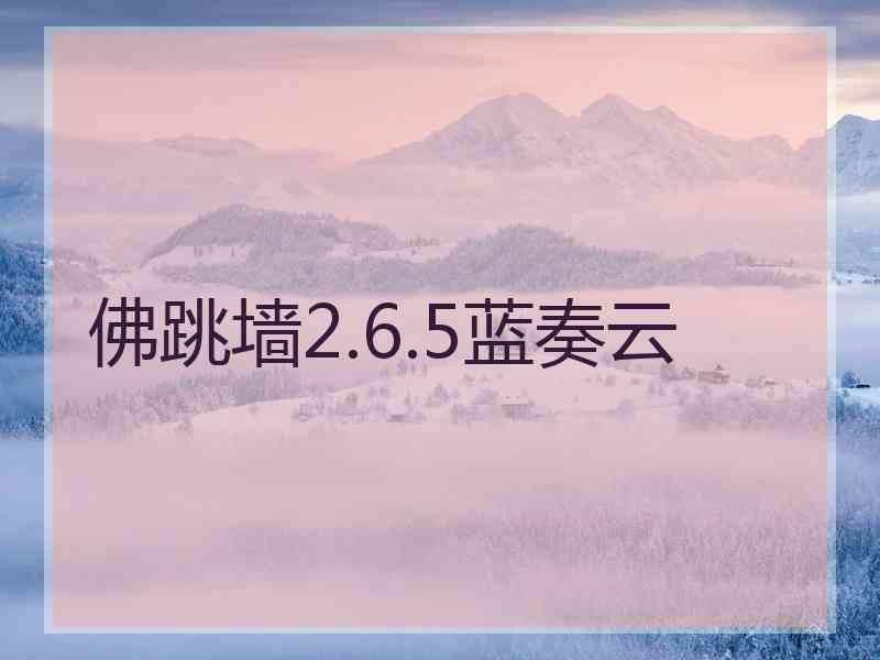 佛跳墙2.6.5蓝奏云