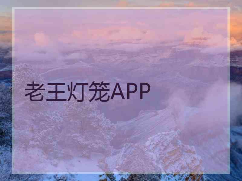 老王灯笼APP