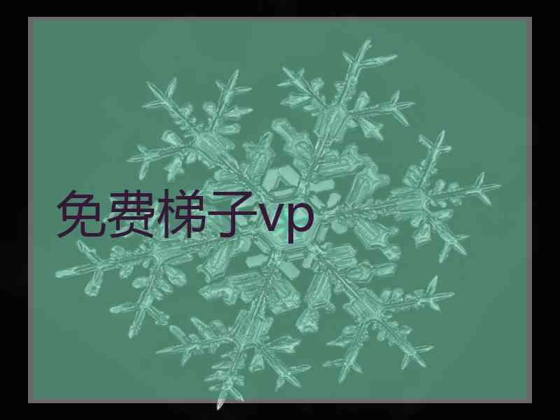 免费梯子vp