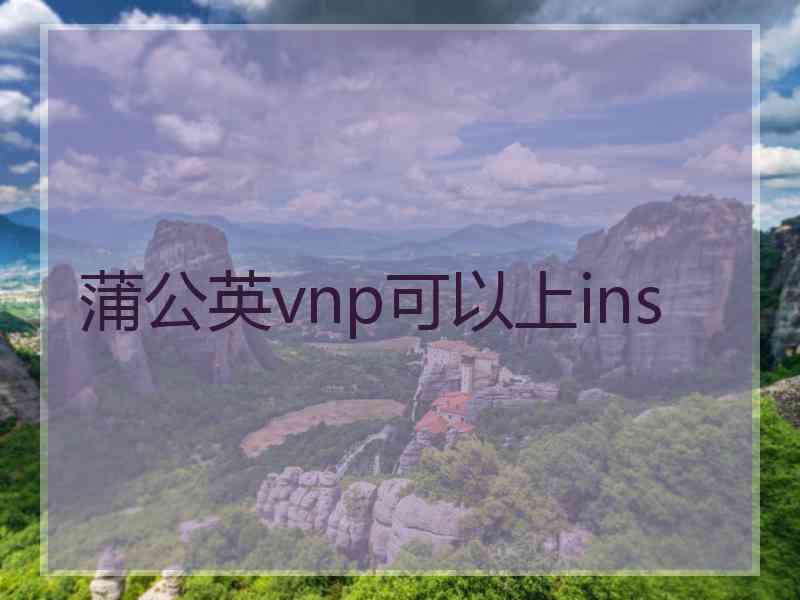 蒲公英vnp可以上ins