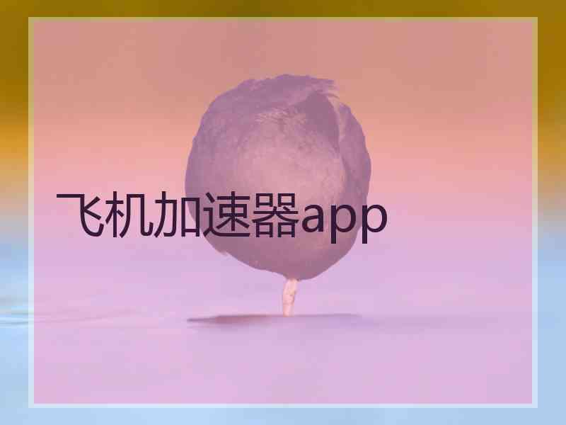 飞机加速器app