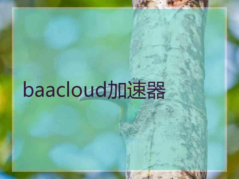 baacloud加速器