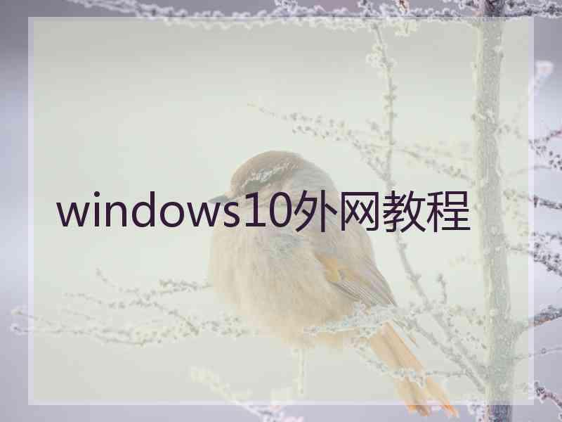 windows10外网教程