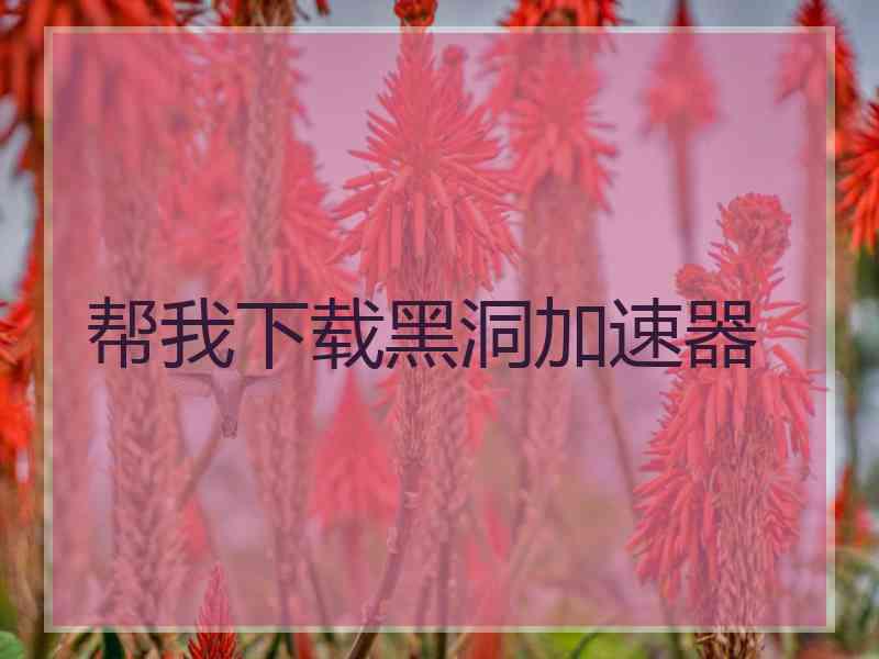 帮我下载黑洞加速器