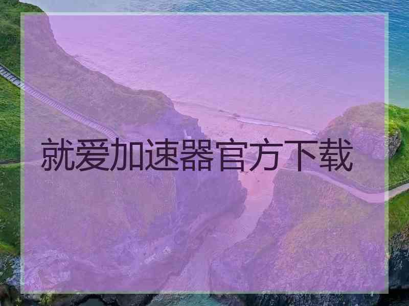 就爱加速器官方下载