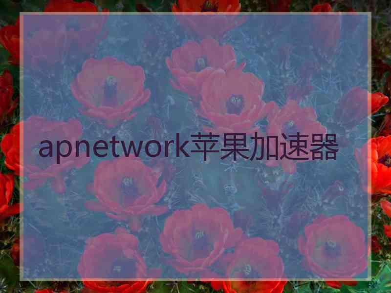 apnetwork苹果加速器