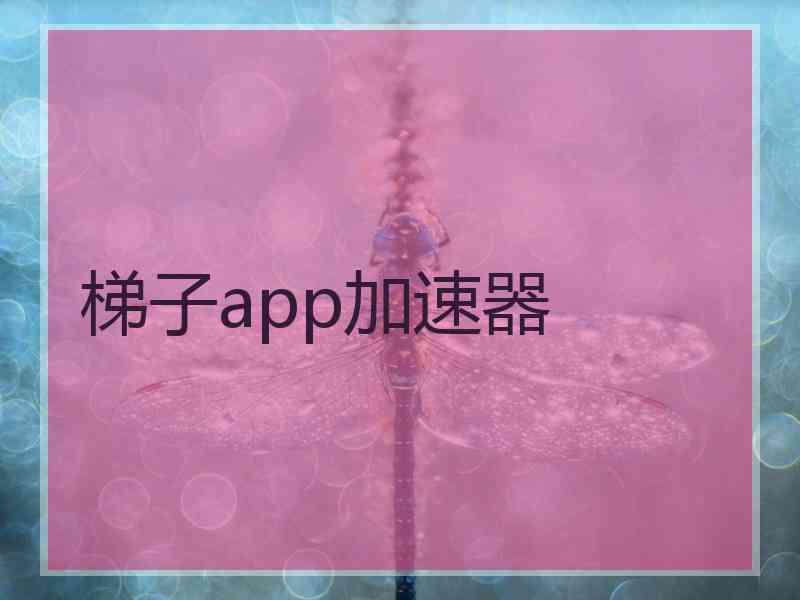 梯子app加速器