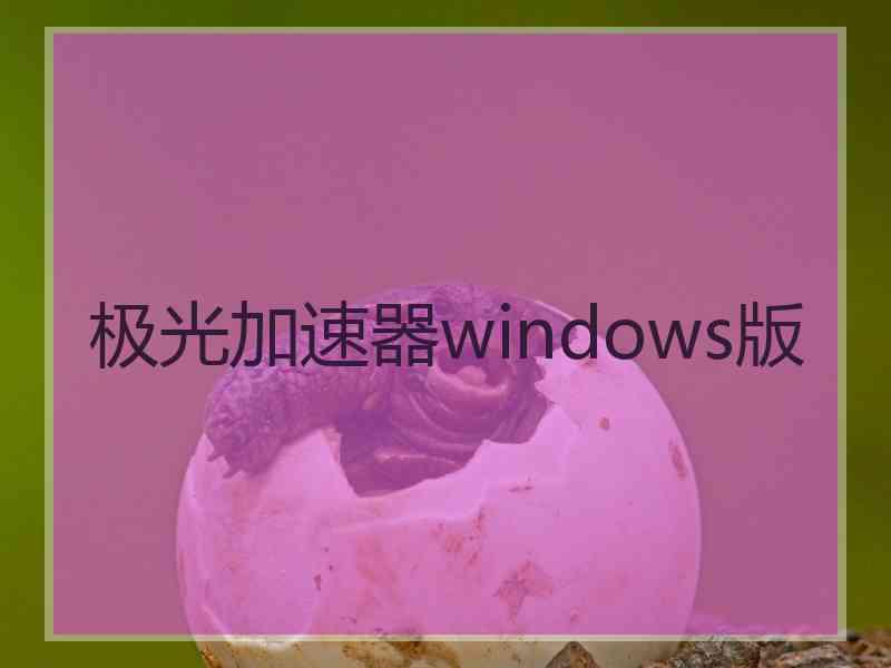 极光加速器windows版