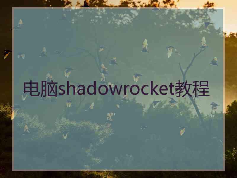 电脑shadowrocket教程