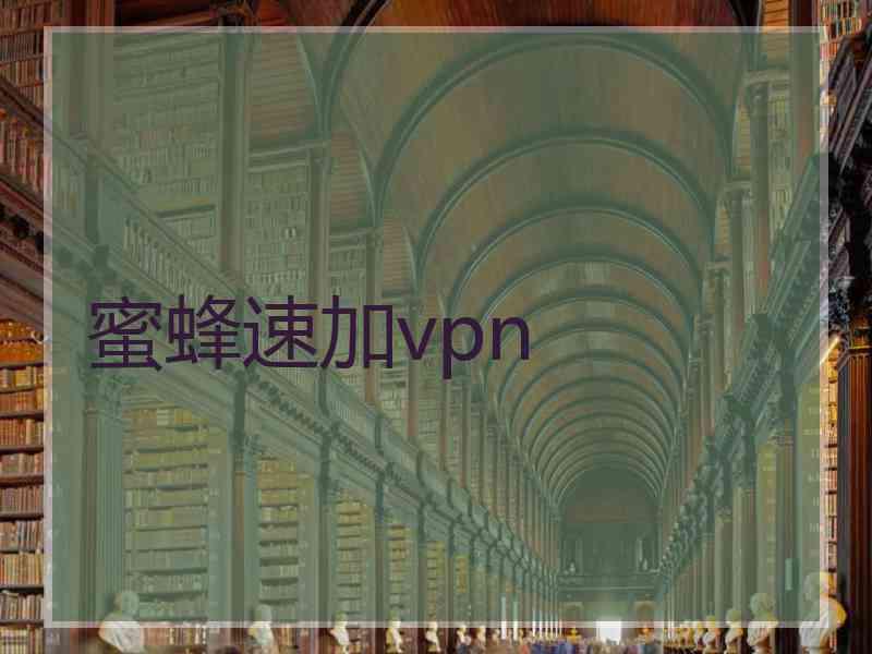 蜜蜂速加vpn