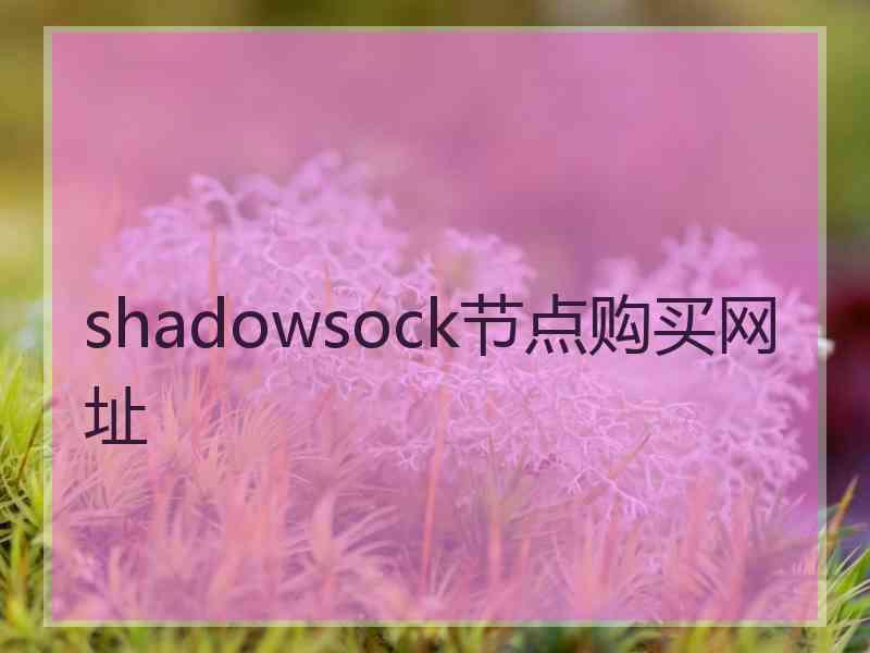 shadowsock节点购买网址