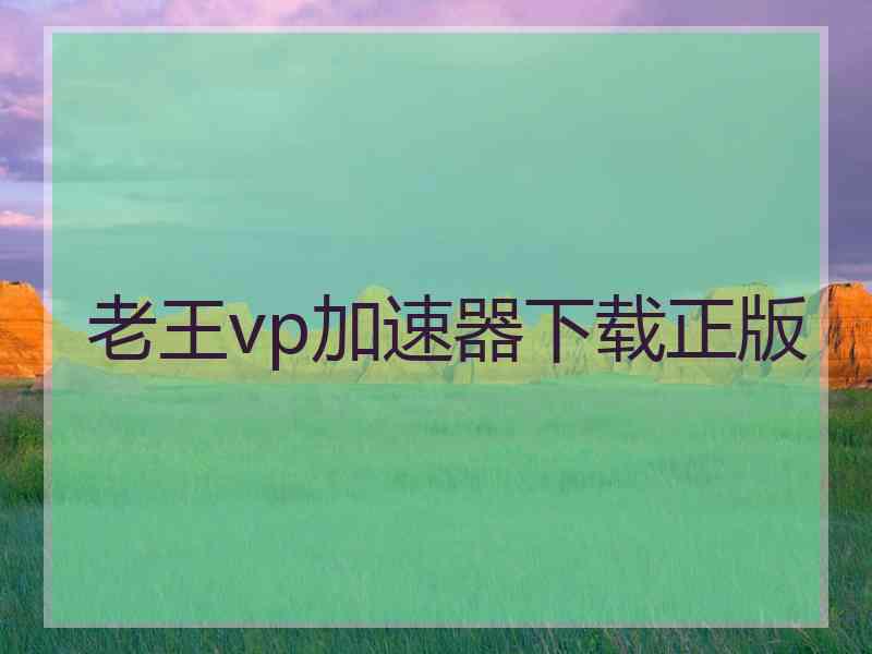 老王vp加速器下载正版