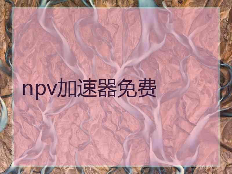 npv加速器免费