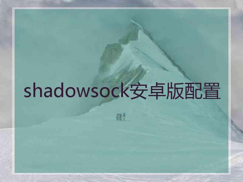 shadowsock安卓版配置