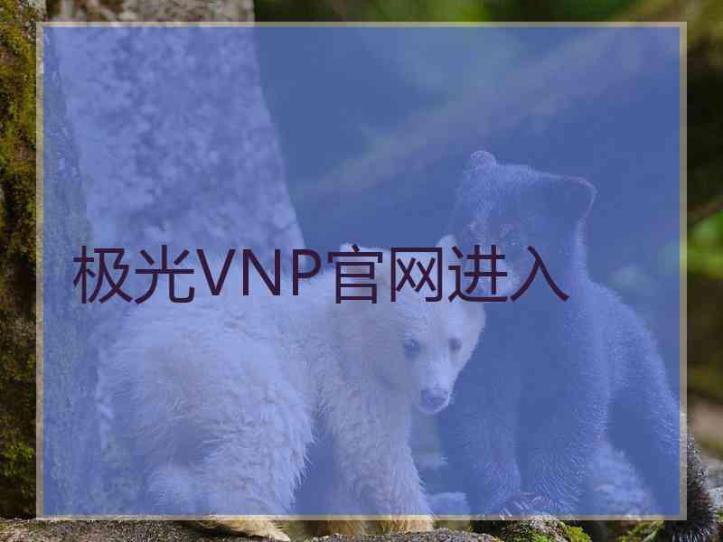 极光VNP官网进入