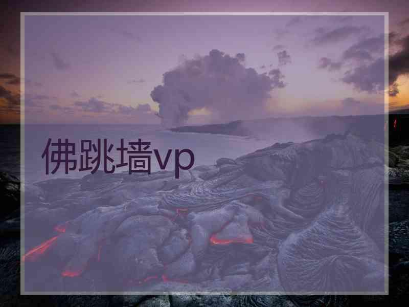 佛跳墙vp