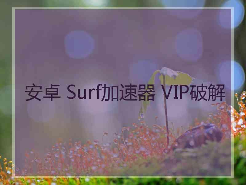 安卓 Surf加速器 VIP破解