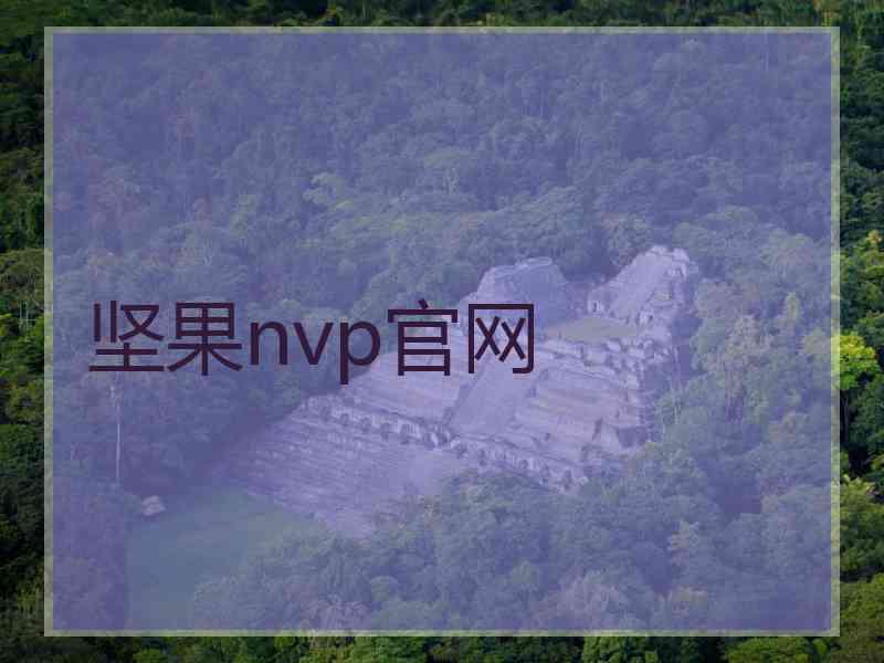 坚果nvp官网