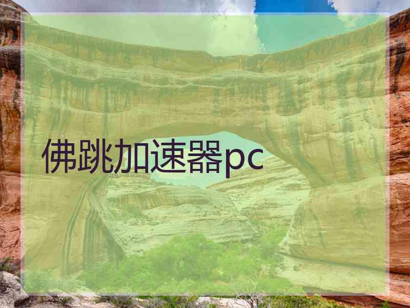 佛跳加速器pc